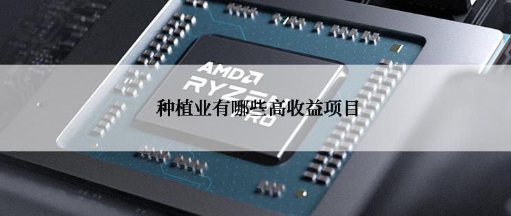  种植业有哪些高收益项目