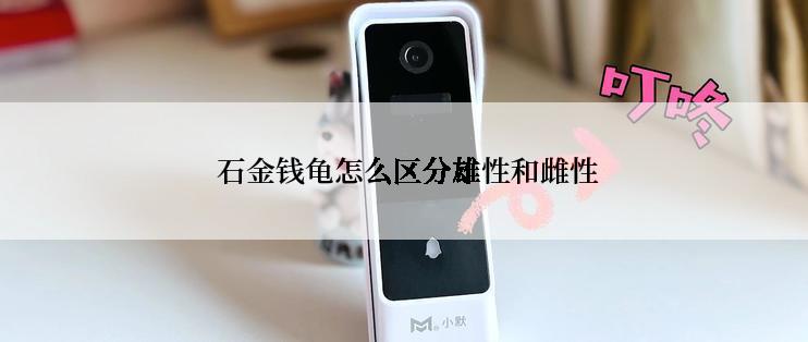  石金钱龟怎么区分雄性和雌性