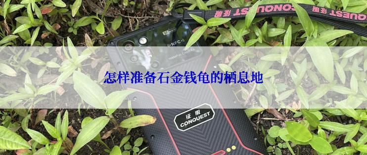 怎样准备石金钱龟的栖息地