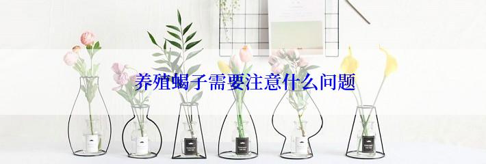  养殖蝎子需要注意什么问题