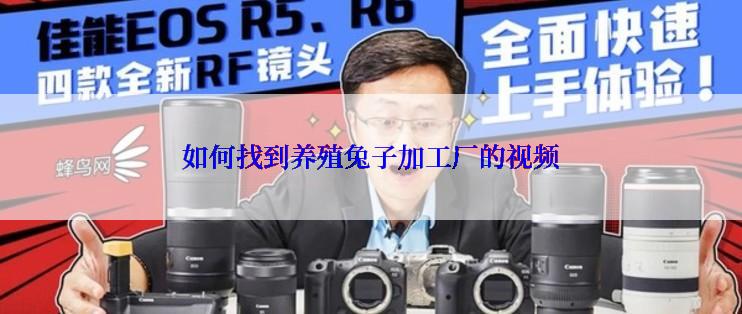 如何找到养殖兔子加工厂的视频
