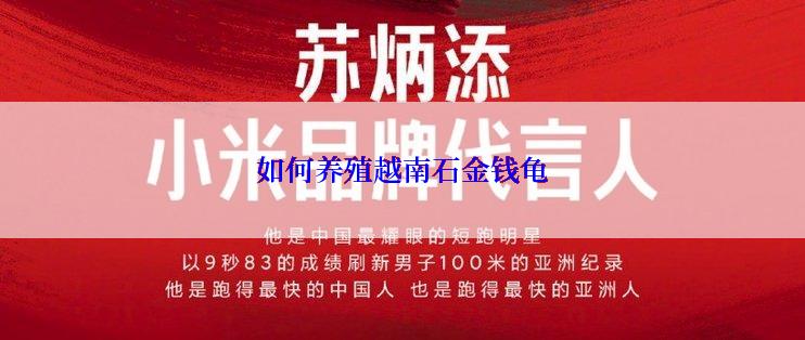 如何养殖越南石金钱龟