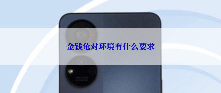 金钱龟对环境有什么要求