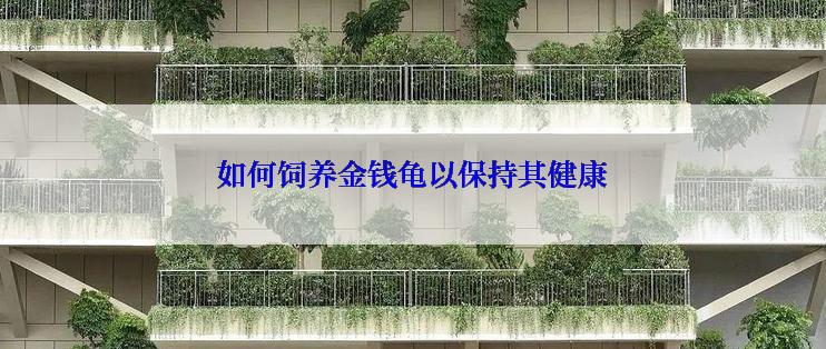如何饲养金钱龟以保持其健康