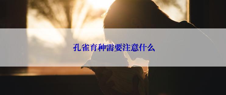  孔雀育种需要注意什么