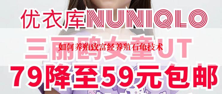 如何养殖致富经养殖石龟技术