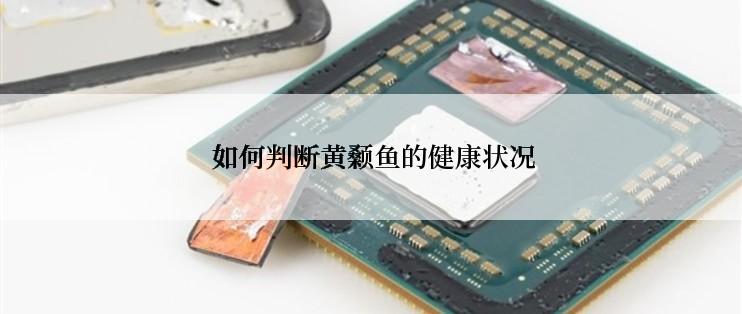 如何判断黄颡鱼的健康状况