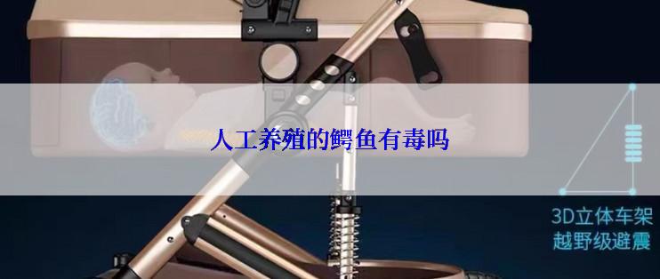 人工养殖的鳄鱼有毒吗