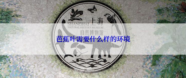 芭蕉叶需要什么样的环境