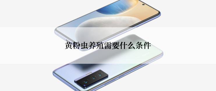 黄粉虫养殖需要什么条件