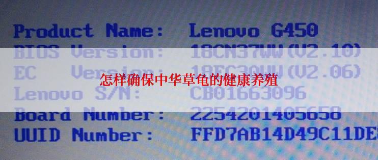 怎样确保中华草龟的健康养殖