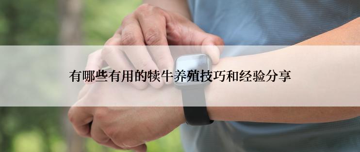 有哪些有用的犊牛养殖技巧和经验分享