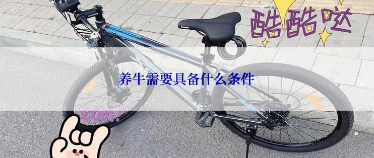 养牛需要具备什么条件
