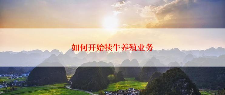 如何开始犊牛养殖业务