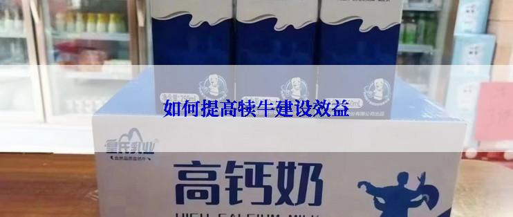 如何提高犊牛建设效益