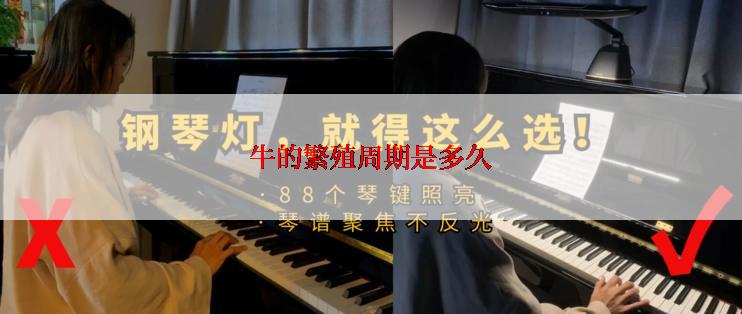 牛的繁殖周期是多久