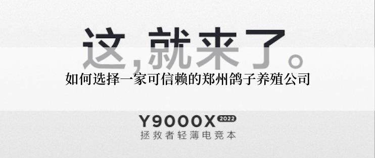 如何选择一家可信赖的郑州鸽子养殖公司