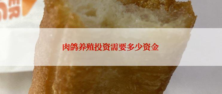 肉鸽养殖投资需要多少资金