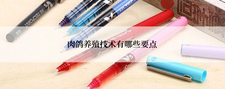 肉鸽养殖技术有哪些要点