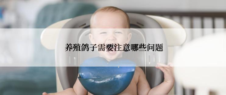  养殖鸽子需要注意哪些问题
