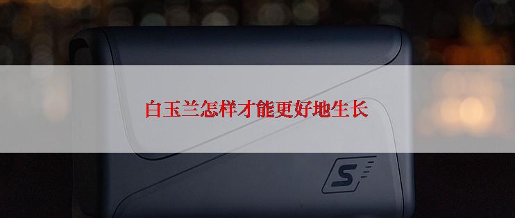 白玉兰怎样才能更好地生长