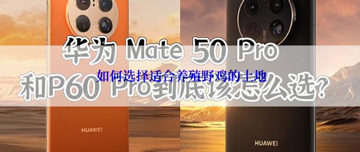  如何选择适合养殖野鸡的土地