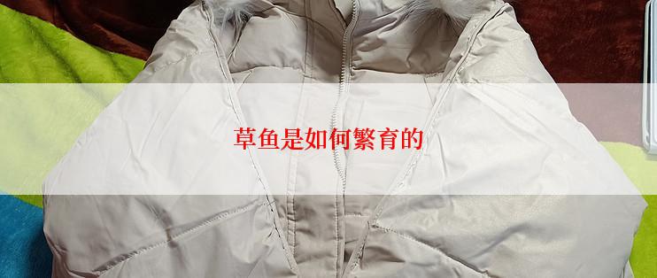 草鱼是如何繁育的