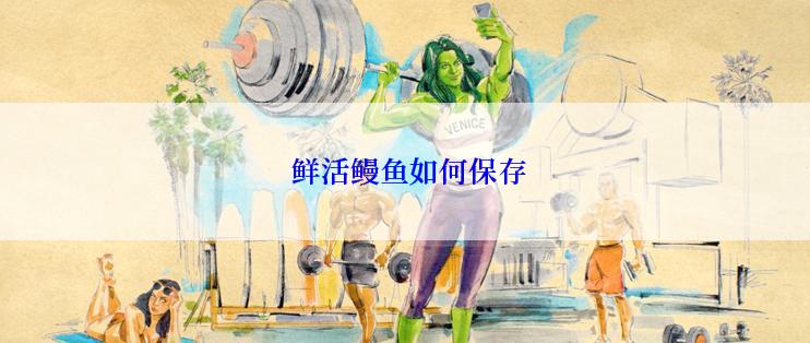  鲜活鳗鱼如何保存