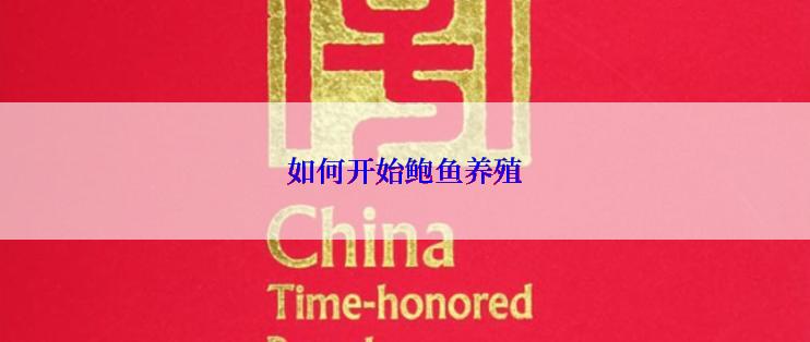 如何开始鲍鱼养殖