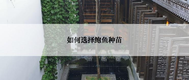 如何选择鲍鱼种苗