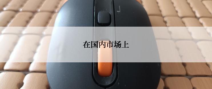 在国内市场上