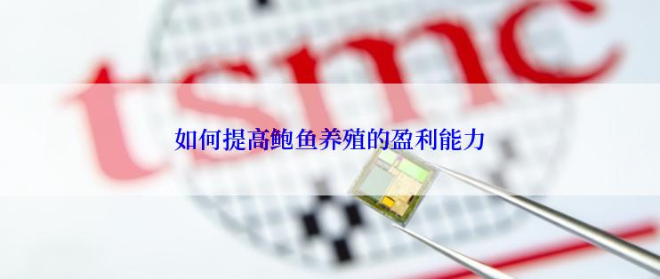 如何提高鲍鱼养殖的盈利能力