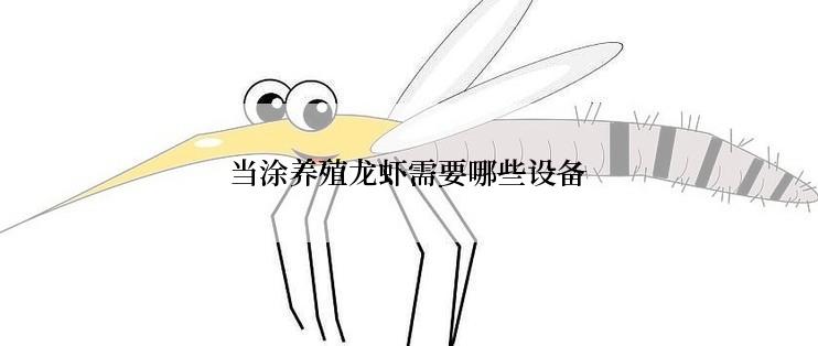 当涂养殖龙虾需要哪些设备