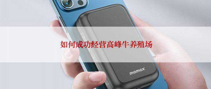  如何成功经营高峰牛养殖场