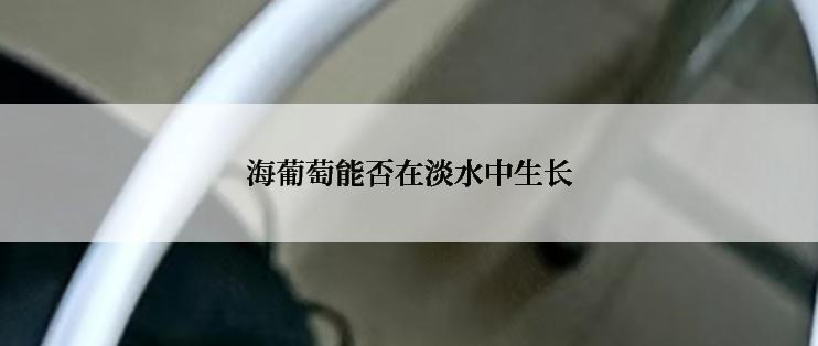 海葡萄能否在淡水中生长