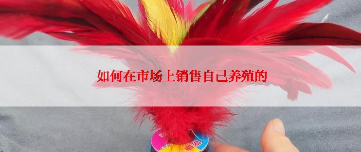 如何在市场上销售自己养殖的