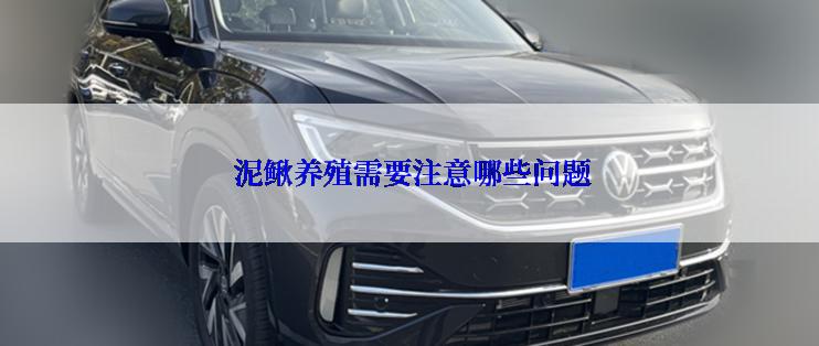 泥鳅养殖需要注意哪些问题