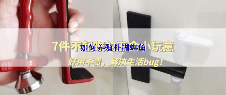 如何养殖朴蝴蝶鱼