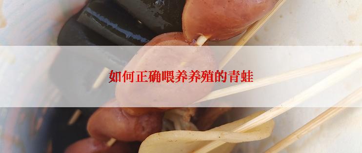 如何正确喂养养殖的青蛙