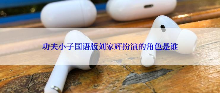 功夫小子国语版刘家辉扮演的角色是谁