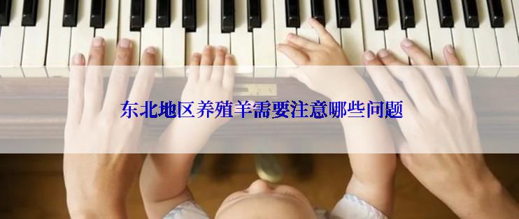 东北地区养殖羊需要注意哪些问题