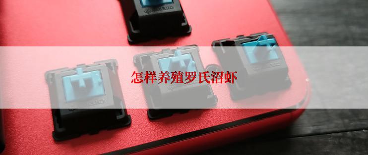 怎样养殖罗氏沼虾