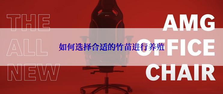 如何选择合适的竹苗进行养殖