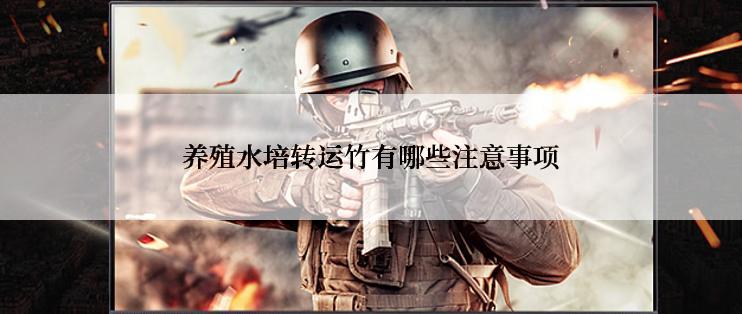 养殖水培转运竹有哪些注意事项