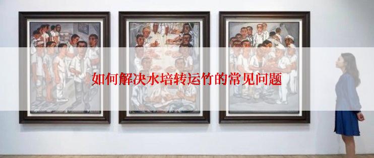 如何解决水培转运竹的常见问题