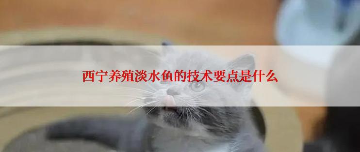 西宁养殖淡水鱼的技术要点是什么