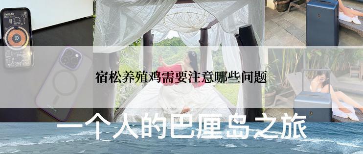 宿松养殖鸡需要注意哪些问题