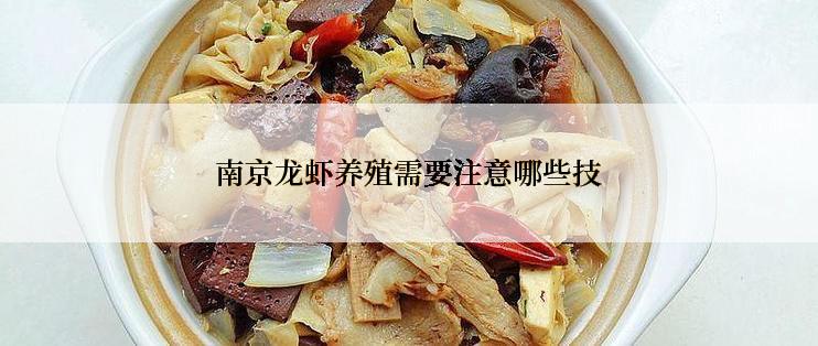 南京龙虾养殖需要注意哪些技