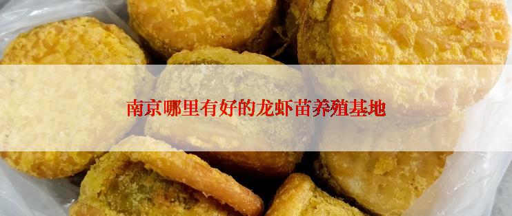 南京哪里有好的龙虾苗养殖基地