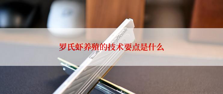罗氏虾养殖的技术要点是什么